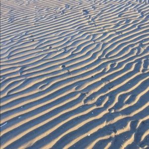 Meet your Posher, Corinne